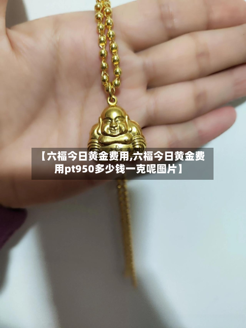 【六福今日黄金费用,六福今日黄金费用pt950多少钱一克呢图片】-第3张图片