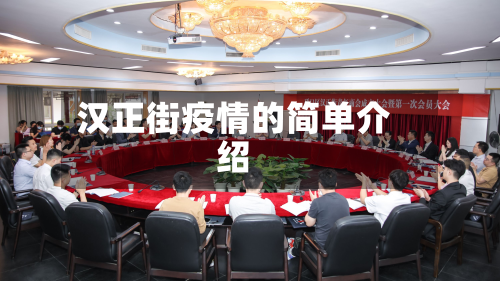 汉正街疫情的简单介绍-第3张图片