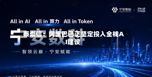 蔡崇信：阿里巴巴正坚定投入全栈AI建设-第2张图片
