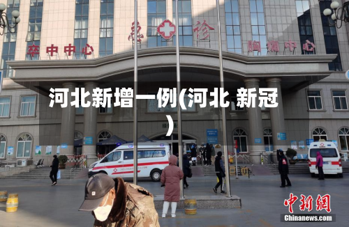 河北新增一例(河北 新冠)-第2张图片