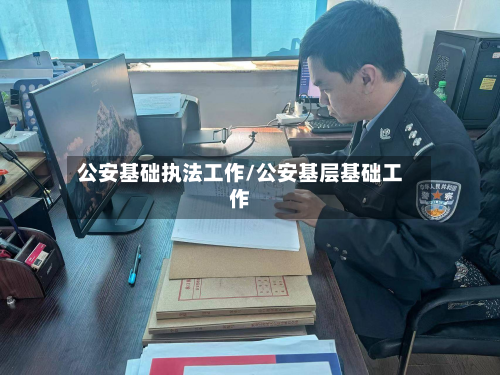 公安基础执法工作/公安基层基础工作