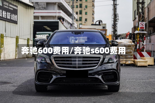 奔驰600费用/奔驰s600费用-第3张图片