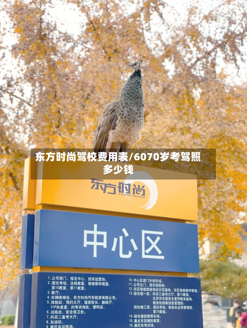 东方时尚驾校费用表/6070岁考驾照多少钱-第3张图片