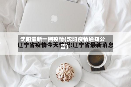 沈阳最新一例疫情(沈阳疫情通知公告)