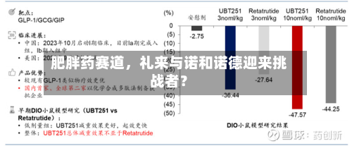 肥胖药赛道，礼来与诺和诺德迎来挑战者？-第1张图片