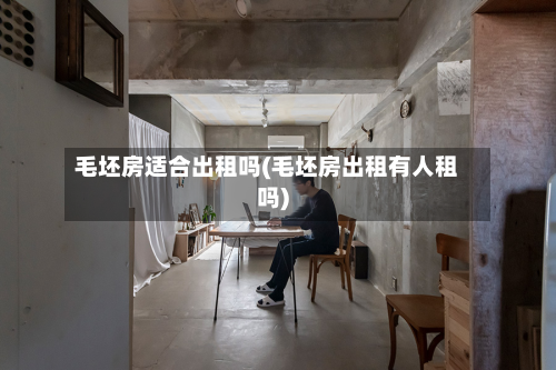 毛坯房适合出租吗(毛坯房出租有人租吗)-第2张图片