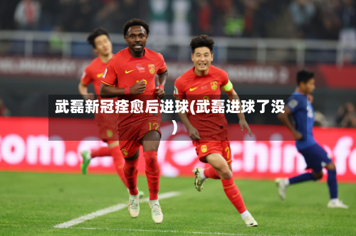 武磊新冠痊愈后进球(武磊进球了没)-第2张图片