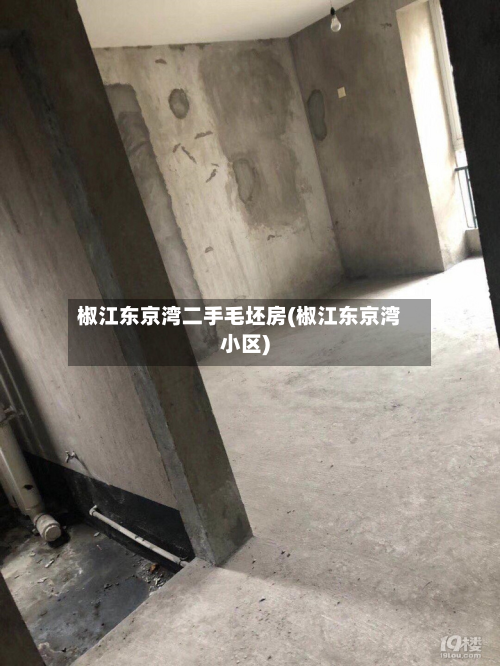 椒江东京湾二手毛坯房(椒江东京湾小区)-第2张图片
