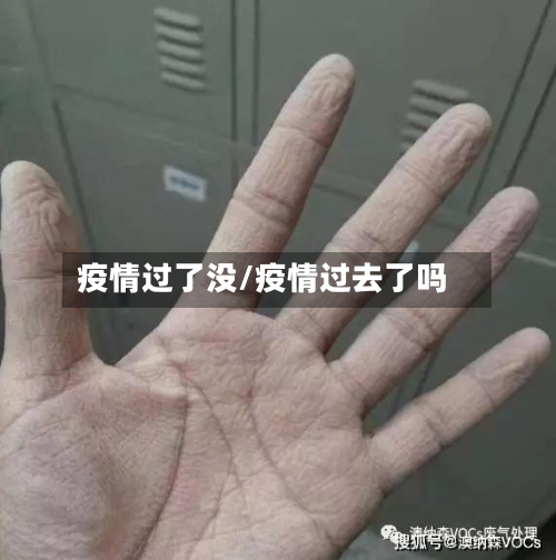 疫情过了没/疫情过去了吗
