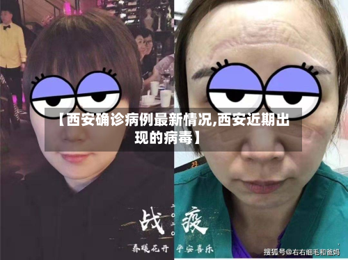 【西安确诊病例最新情况,西安近期出现的病毒】-第3张图片