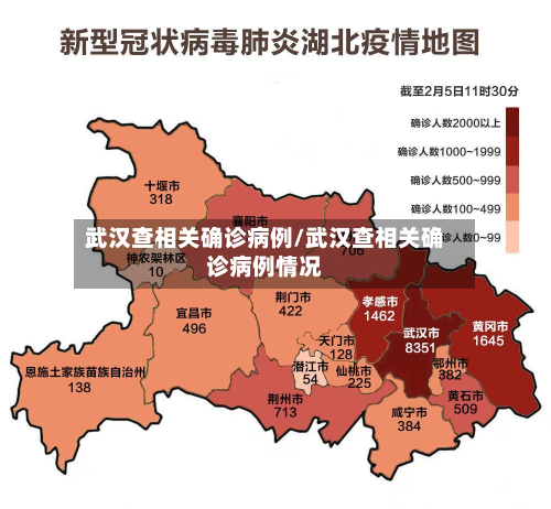 武汉查相关确诊病例/武汉查相关确诊病例情况
