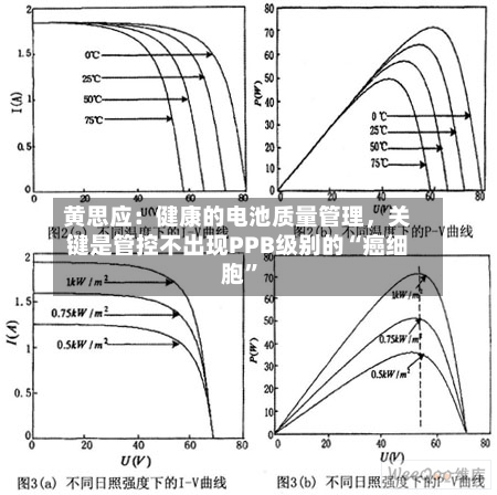黄思应：健康的电池质量管理	，关键是管控不出现PPB级别的“癌细胞”-第3张图片