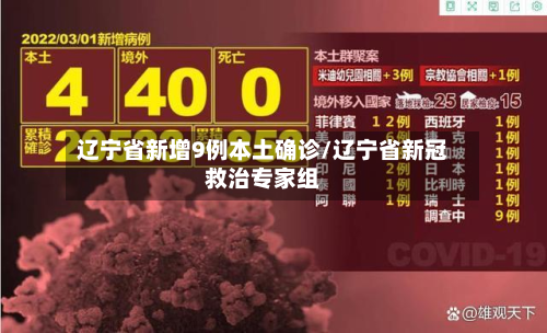 辽宁省新增9例本土确诊/辽宁省新冠救治专家组