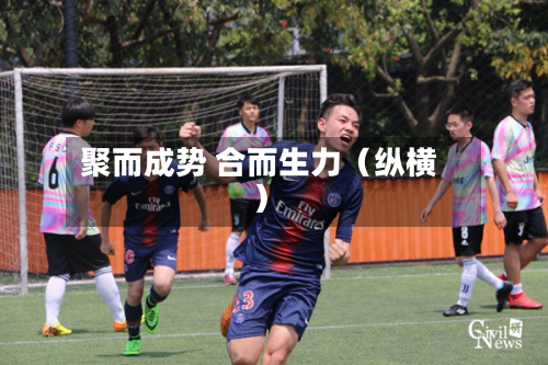 聚而成势 合而生力（纵横）