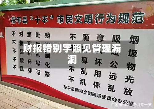 财报错别字照见管理漏洞-第3张图片