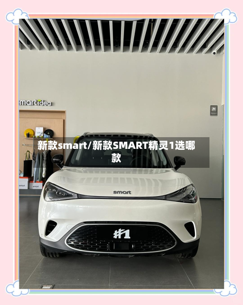 新款smart/新款SMART精灵1选哪款-第3张图片