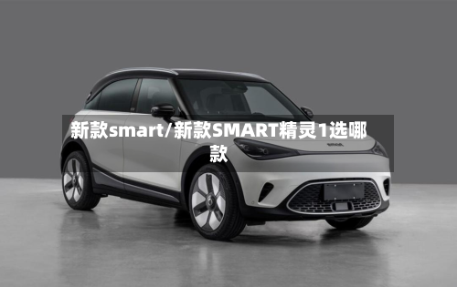 新款smart/新款SMART精灵1选哪款-第2张图片