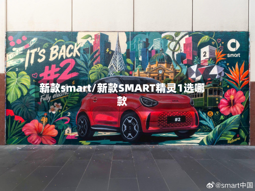 新款smart/新款SMART精灵1选哪款