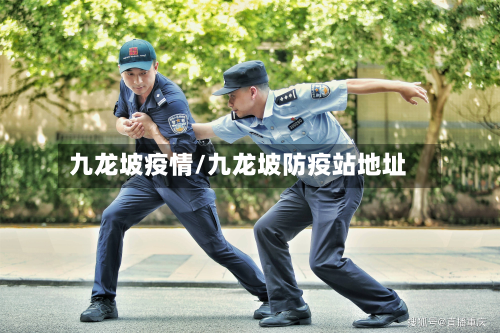 九龙坡疫情/九龙坡防疫站地址-第2张图片
