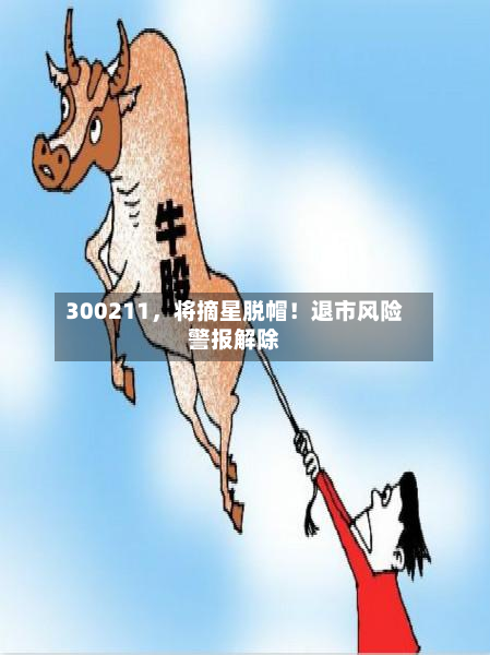 300211，将摘星脱帽！退市风险警报解除-第2张图片