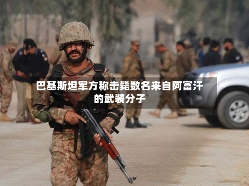 巴基斯坦军方称击毙数名来自阿富汗的武装分子-第2张图片