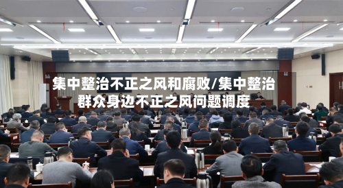 集中整治不正之风和腐败/集中整治群众身边不正之风问题调度