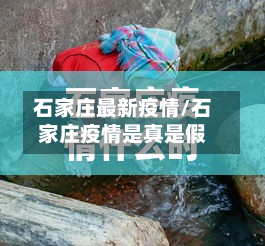 石家庄最新疫情/石家庄疫情是真是假