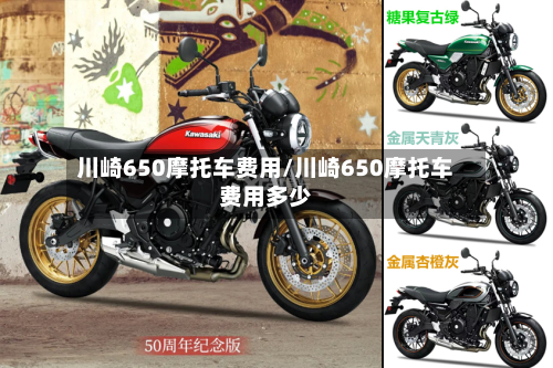 川崎650摩托车费用/川崎650摩托车费用多少-第3张图片