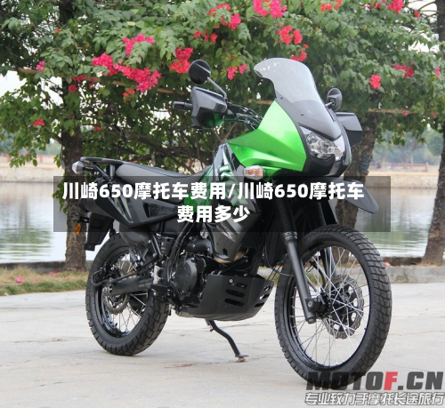 川崎650摩托车费用/川崎650摩托车费用多少