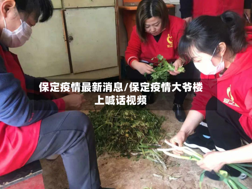 保定疫情最新消息/保定疫情大爷楼上喊话视频-第3张图片