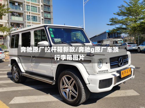 奔驰原厂拉杆箱新款/奔驰g原厂车顶行李箱图片-第2张图片