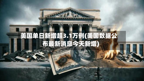 美国单日新增超3.1万例(美国数据公布最新消息今天新增)-第2张图片