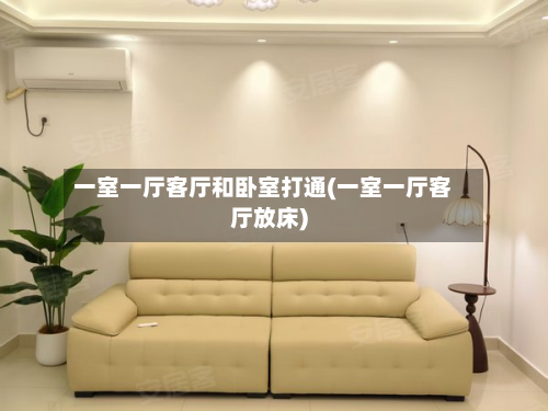 一室一厅客厅和卧室打通(一室一厅客厅放床)-第2张图片