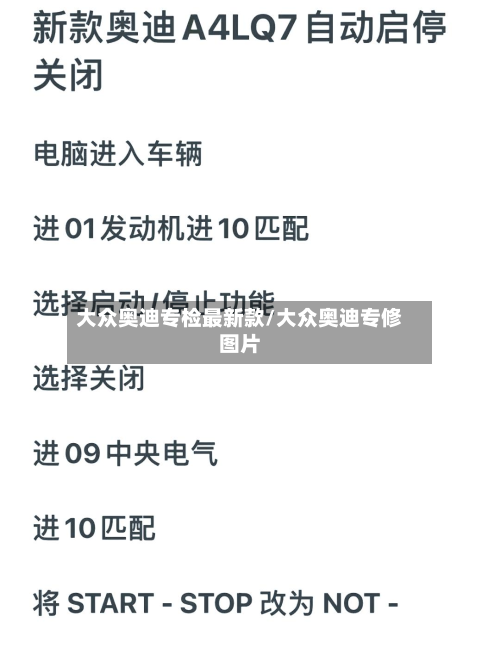 大众奥迪专检最新款/大众奥迪专修图片