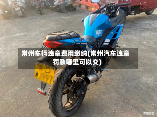 常州车辆违章费用缴纳(常州汽车违章罚款哪里可以交)-第3张图片