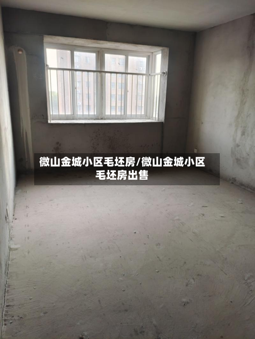 微山金城小区毛坯房/微山金城小区毛坯房出售-第3张图片