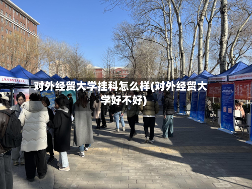 对外经贸大学挂科怎么样(对外经贸大学好不好)