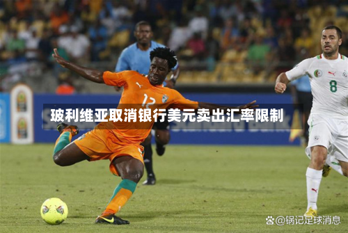 玻利维亚取消银行美元卖出汇率限制