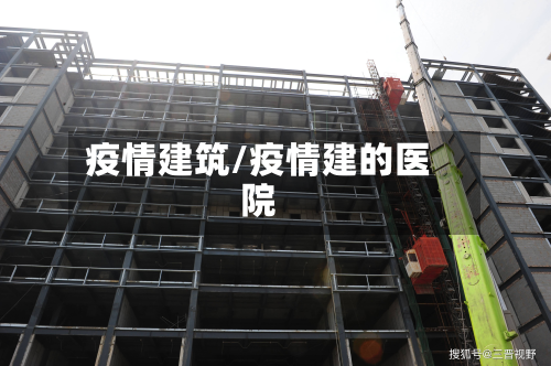 疫情建筑/疫情建的医院-第2张图片