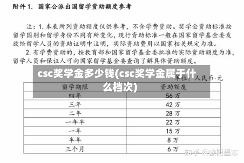 csc奖学金多少钱(csc奖学金属于什么档次)-第3张图片