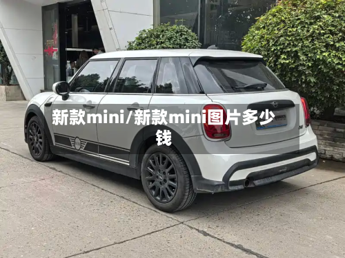 新款mini/新款mini图片多少钱-第2张图片