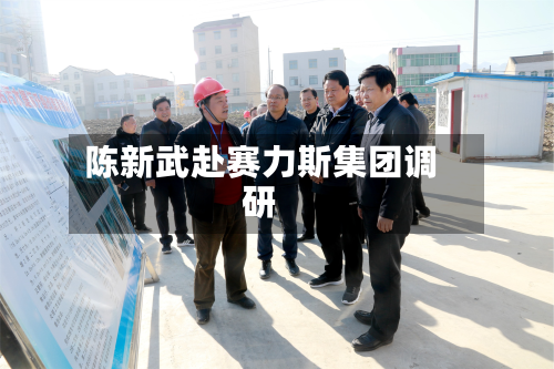 陈新武赴赛力斯集团调研-第2张图片