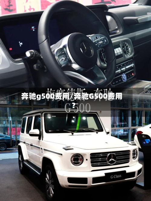 奔驰g500费用/奔驰G500费用?
