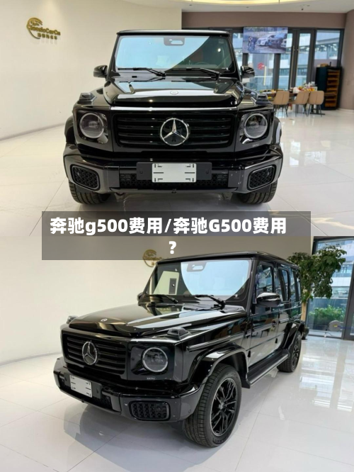 奔驰g500费用/奔驰G500费用?-第2张图片