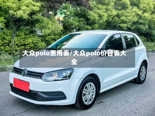 大众polo费用表/大众polo价目表大全-第2张图片