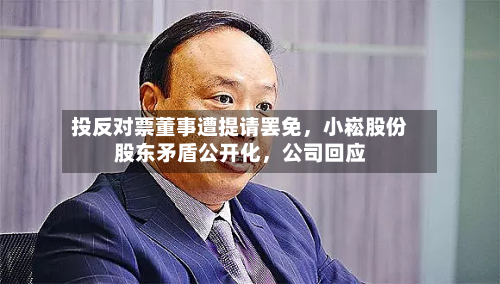 投反对票董事遭提请罢免，小崧股份股东矛盾公开化，公司回应-第2张图片