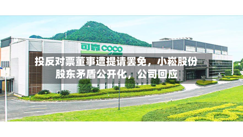 投反对票董事遭提请罢免，小崧股份股东矛盾公开化	，公司回应-第1张图片