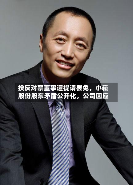 投反对票董事遭提请罢免	，小崧股份股东矛盾公开化，公司回应-第3张图片