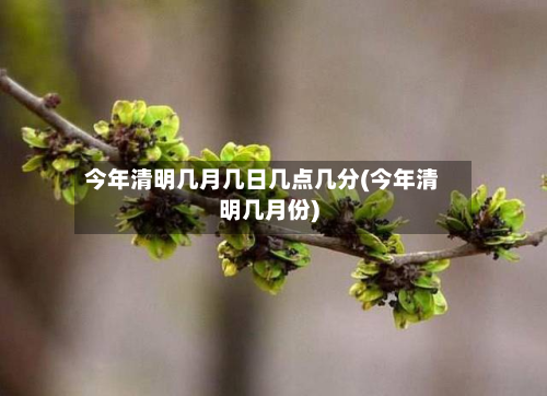 今年清明几月几日几点几分(今年清明几月份)