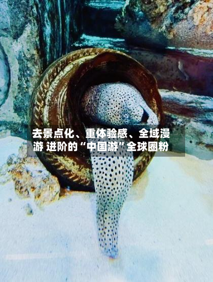 去景点化、重体验感、全域漫游 进阶的“中国游”全球圈粉-第2张图片